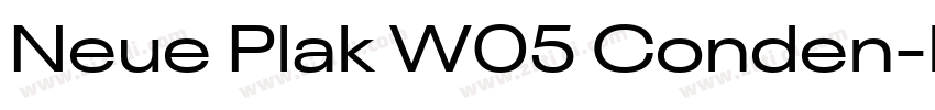 Neue Plak W05 Conden字体转换